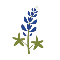 bluebonnet texas state flower