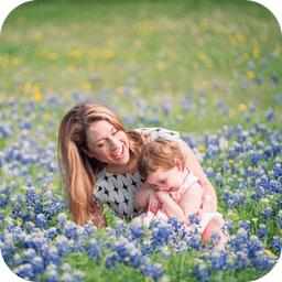 family in bluebonnet field near austin texas